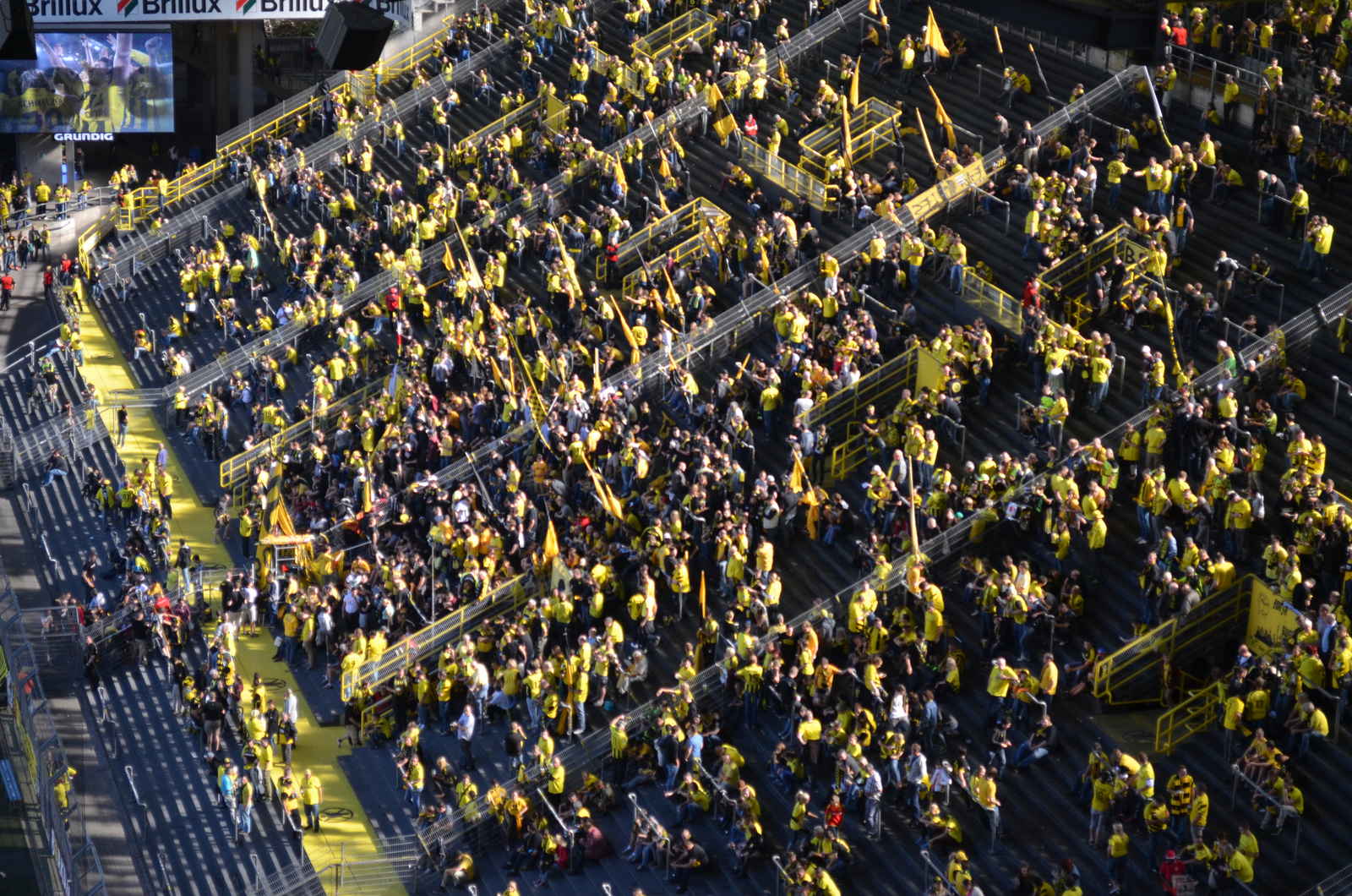 Inside the stadium 6