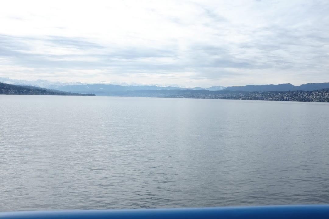 Lake Zurich