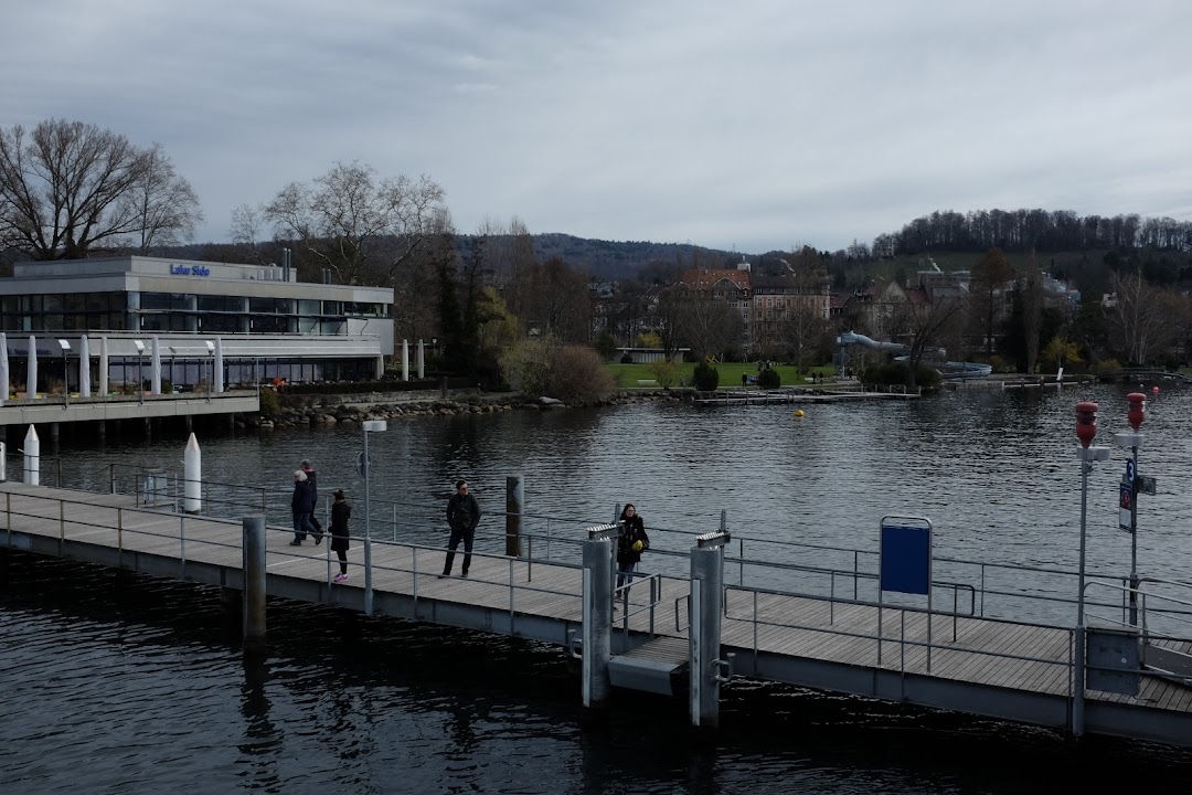 Lake Zurich