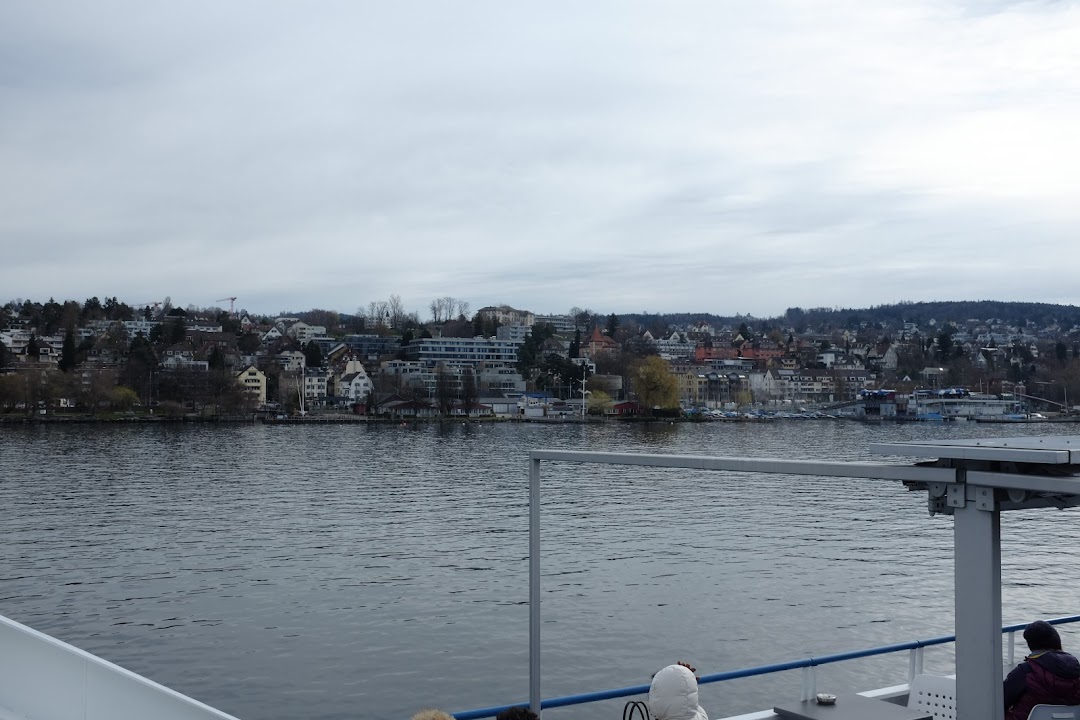 Lake Zurich