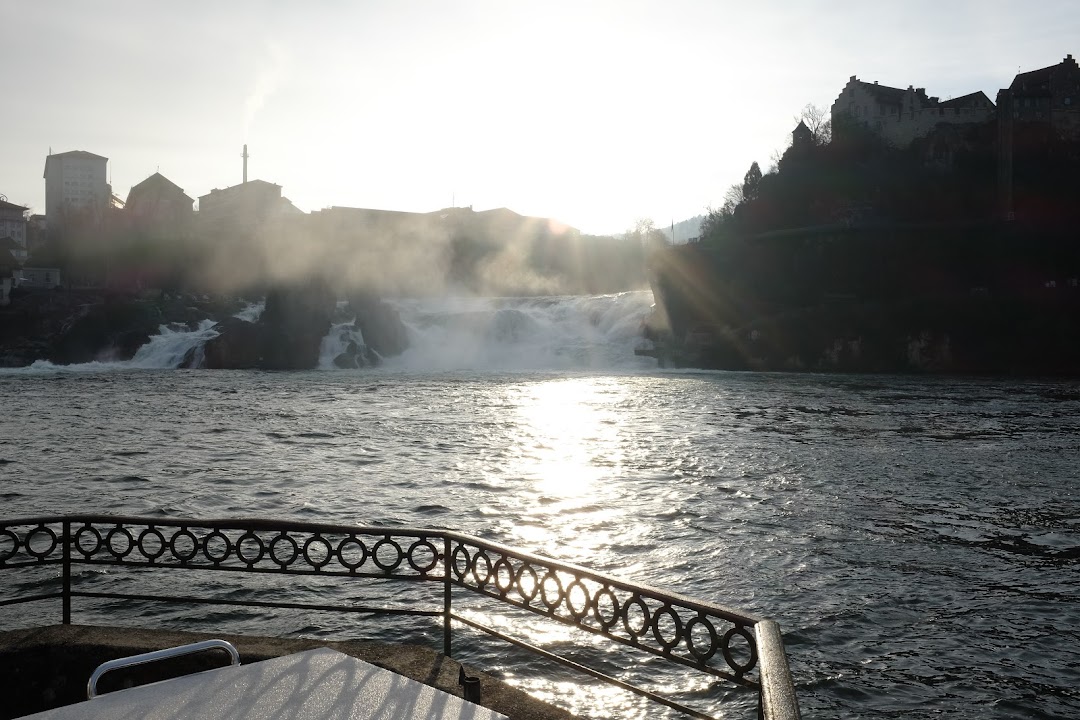 Rhine falls