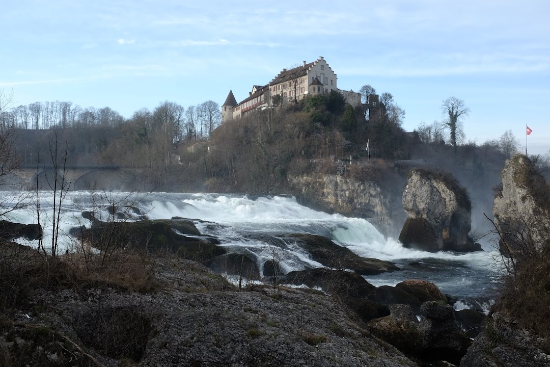 Rhine falls